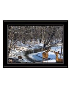 "Great Outdoors- Nature" by Artisan Trendy Decor 4U, Ready to Hang Framed Print, Black Frame