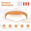 Modern Simple 24W LED Mount Ceiling Light