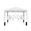 Outdoor 10x 10Ft Pop Up Gazebo Canopy Tent Removable Sidewall with Zipper,2pcs Sidewall with Windows,with 4pcs Weight sand bag,with Carry Bag